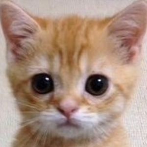 Meet your Posher, Ryleigh